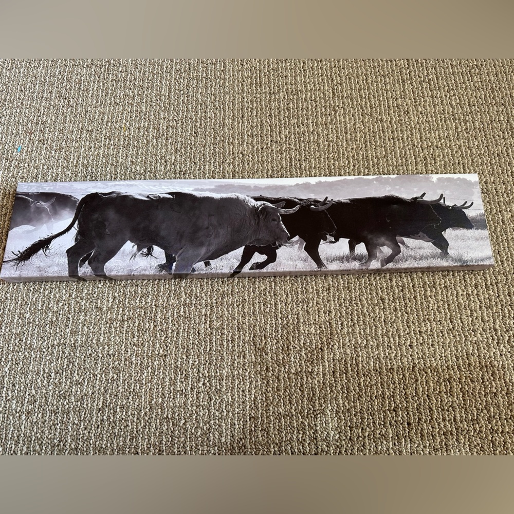 Bull Canvas Sign - Picture 2 of 4